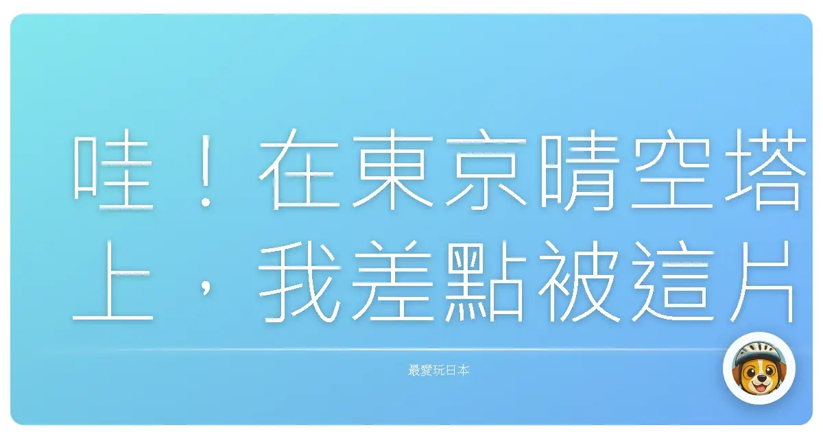 哇！在東京晴空塔上，我差點被這片景色美哭了！
