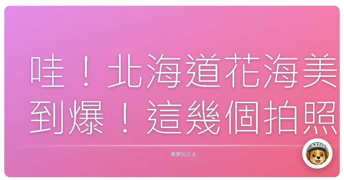 哇！北海道花海美到爆！這幾個拍照點沒去會捶心肝啦！