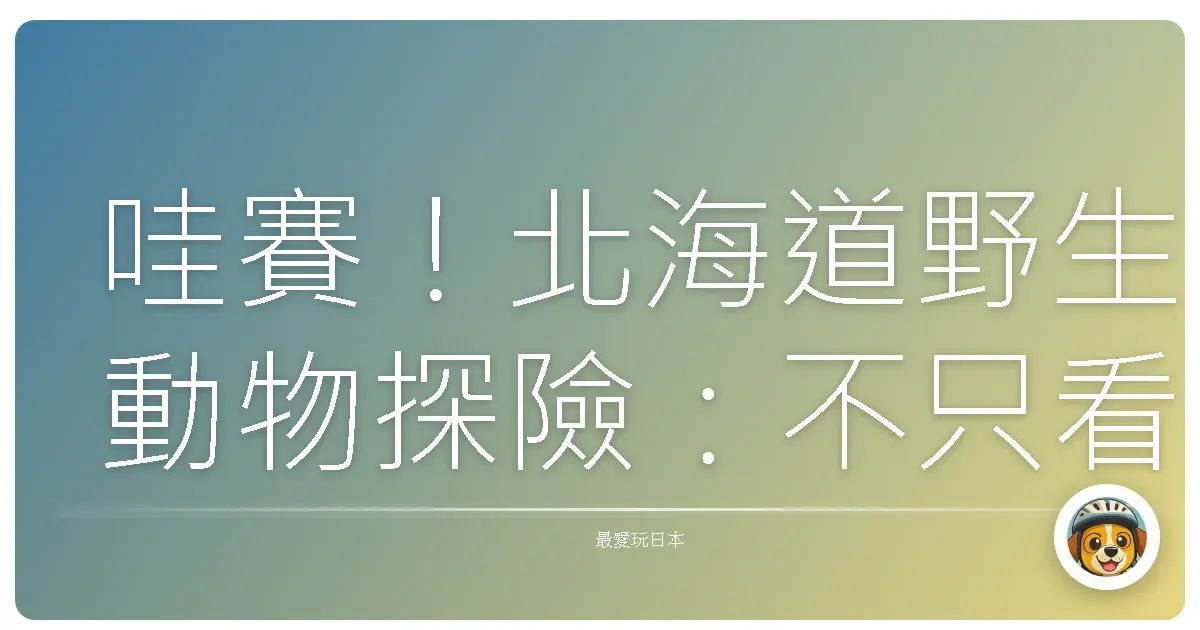 哇賽!北海道野生動物探險:不只看到熊,還遇到…(噴笑)