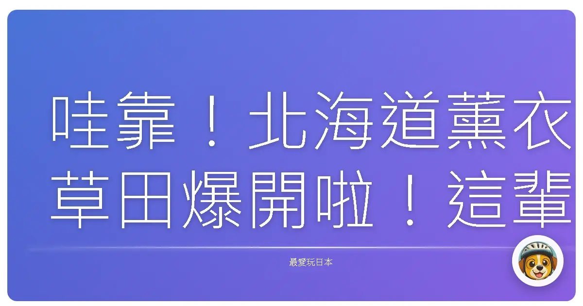 哇靠！北海道薰衣草田爆開啦！這輩子沒看過這麼紫的地方！