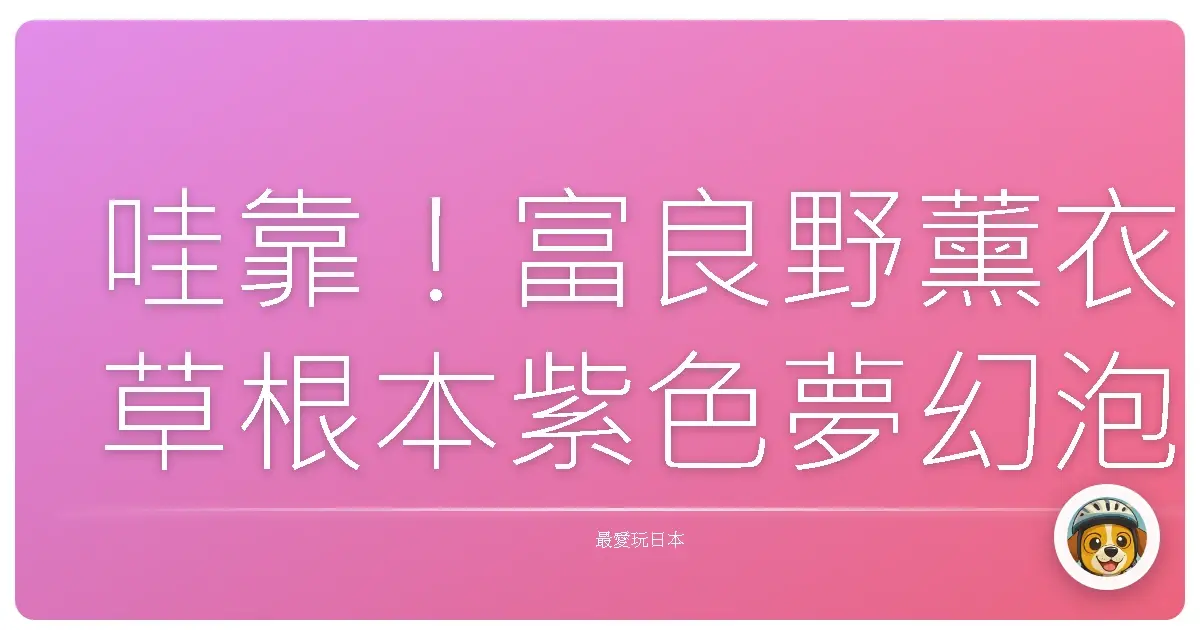 哇靠！富良野薰衣草根本紫色夢幻泡泡，美到我懷疑人生！